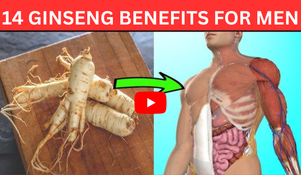 14 Ginseng Benefits For Men image