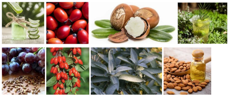 SkinRenewPro Ingredients